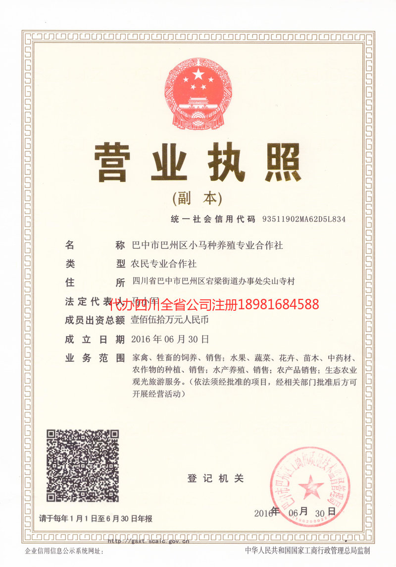 灵武灵武小马种养殖专业合作社